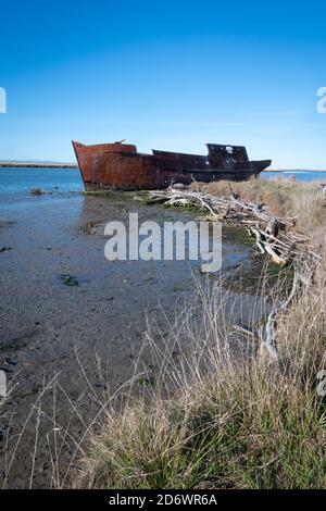 Remains of the ship 'Waverley', Wairau Lagoons Walkway, near Blenheim, Marlborough, South Island, New Zealand Stock Photo