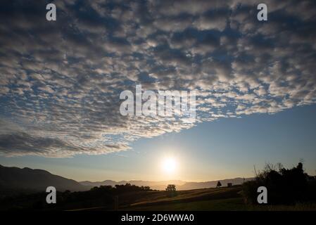 Wonderful sunrise with many small fluffy and soft white clouds in the blue sky Stock Photo