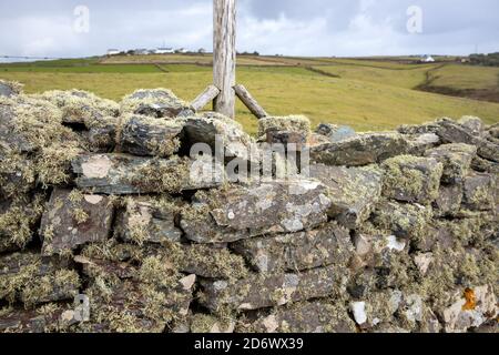 Lichen on stone wall in Cornwall Stock Photo