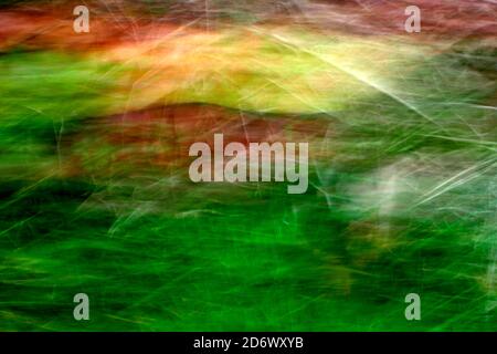 Colourful abstract background from leaves and flowers Stock Photo