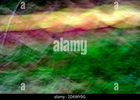 Colourful abstract background from leaves and flowers Stock Photo