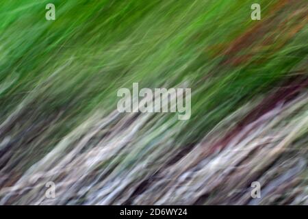 Colourful abstract background from leaves and flowers Stock Photo