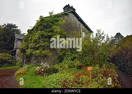 Hill Top, the home of children's author, Beatrix Potter, in the Lake District, Cumbria, England. Plants climb the side of the grey coloured cottage. Stock Photo