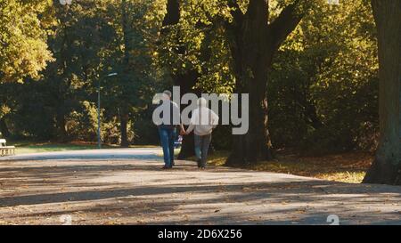 Elderly couple walking in the park in autumn while hodling hands. High quality photo Stock Photo