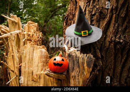 Jack Lantern pumpkin on wooden background with witch hat  Stock Photo