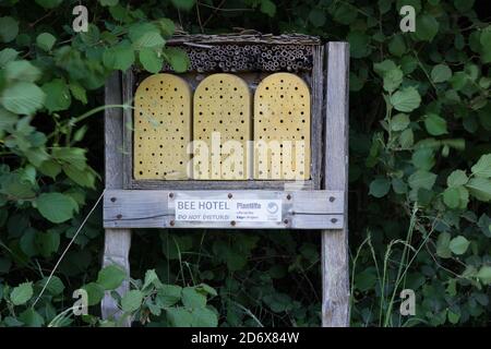 Bee hotel seen open for business during covid pandemic, English Countryside, UK Stock Photo