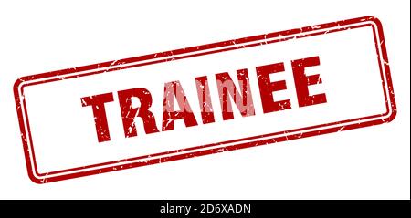 trainee stamp. square grunge sign isolated on white background Stock Vector
