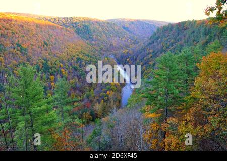 The aerial view of the striking colors of fall foliage and the river near Grand Canyon of Pennsylvania, U.S.A Stock Photo