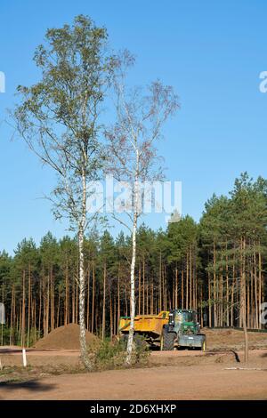 clearing of a forest near Dolle in Germany for the construction of the A14 motorway Stock Photo