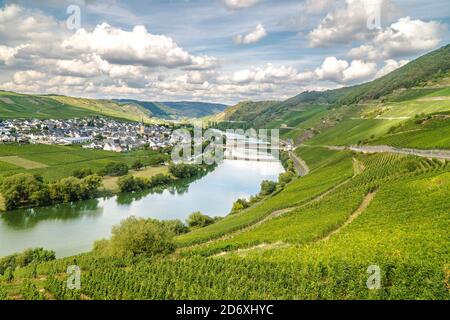 Beautiful moselle valley with view to Trittenheim in Germany Stock Photo
