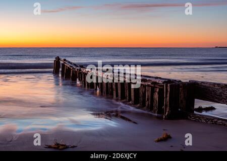 The iconic erosion groynes at sunrise in Victor Harbor South Australia ...