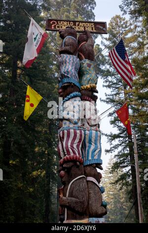 At forty feet tall the world's tallest freestanding redwood chainsaw carving at the  Confusion Hill roadside attraction along the Redwood Highway and Stock Photo