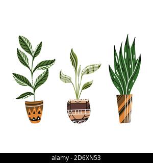 Set of colorful flat house plants in pots with decorations. Aloe and ficus. Boho style. Vector doodle element for card, pins, sticker, card and your c Stock Vector