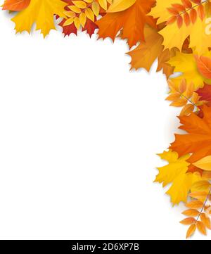 Autumn fallen leaves frame. Realistic vector illustration. Stock Vector