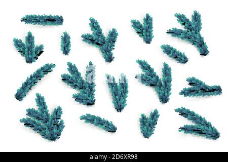 Fir tree branches and elements set. Vector blue Christmas tree parts collection. Stock Vector