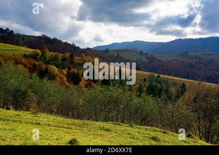 mountainous countryside landscape in autumn. beautiful scenery with forested rolling hills in fall colours. carpathian rural landscape. sunny day with Stock Photo