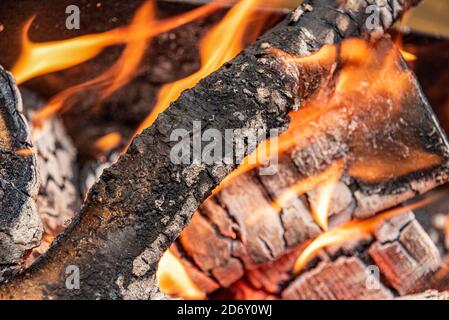 Yellow flame of fire on coals and logs. Background from burning logs and branches.Close up. Stock Photo