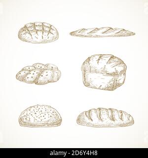 Vector Brread Sketches Set. Hand Drawn Illustrations of Challa, Sourdough Loaf, Brick and Baguette. Stock Vector