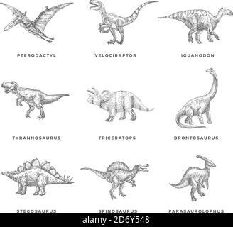 Prehistoric Dinosaurs Sketch Signs, Symbols or Illustrations Set. Hand Drawn Vector Ancient Reptiles Silhouttes Collection. Doodle Style Drawings Stock Vector