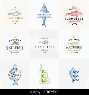 Premium Quality Seafood Vector Signs or Logo Templates Collection. Hand Drawn Fish Sketches with Typography, Surmullet, Eel, Sailfish, Cod, Dorado Stock Vector