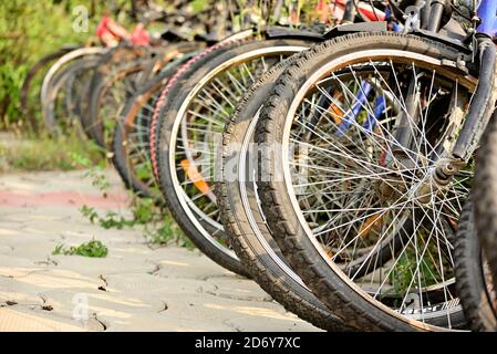 A row of A row of bicycles are parked beside road. View of back wheels and tires. beside road. View of back wheels and tires. Stock Photo