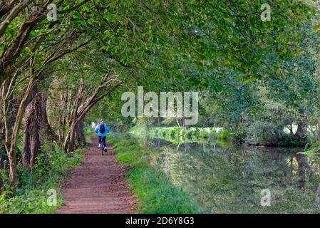 Two cyclists on the towpath of the River Wey Navigation canal on a sunny autumnal day, Byfleet Surrey England UK Stock Photo