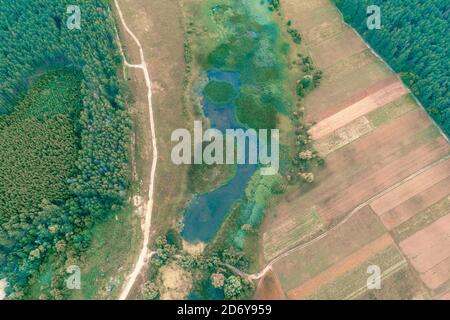 Aerial top view of a rural landscape. View of arable fields and forest in summer