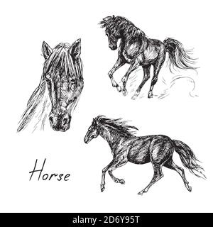Horse Race – Black and White Line Art of Equestrian Competition Stock ...