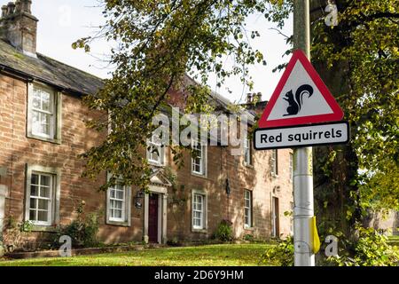 Red triangle sign for Red Squirrels in outside cottages in the town. Boroughgate, Appleby-in-Westmorland, Eden District, Cumbria, England, UK, Britain Stock Photo