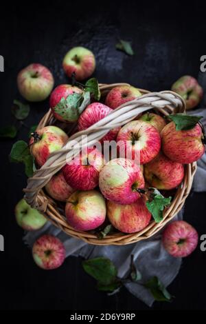 Fresh ripe autumn red apples in basket on rustic background Stock Photo