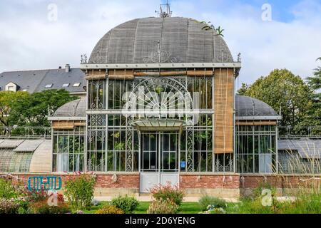 France, Loire Atlantique, Nantes, Jardin des Plantes de Nantes, the Palmarium // France, Loire-Atlantique (44), Nantes, jardin des plantes de Nantes, Stock Photo