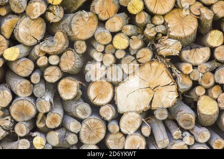 A cut pile of hardwood, stacked with circular ends facing out in an artistic pattern. Firewood ready to burn on a long winter's night. Stock Photo