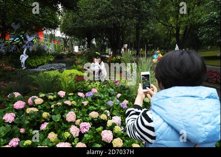 Chongqing, Oct. 20. 29th Oct, 2020. A visitor takes photos at a floral art expo in Chongqing, southwest China, Oct. 20, 2020. The expo kicked off on Tuesday in Chongqing and will last till Oct. 29, 2020. Credit: Wang Quanchao/Xinhua/Alamy Live News Stock Photo