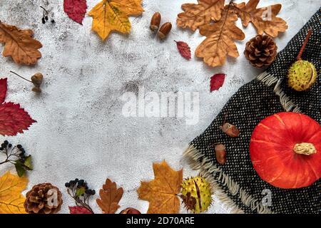 Autumn, fall or halloween composition made of dried leaves, pumpkin, pine cones, acorns, warm scarf and hand with cup of coffee on concrete background Stock Photo