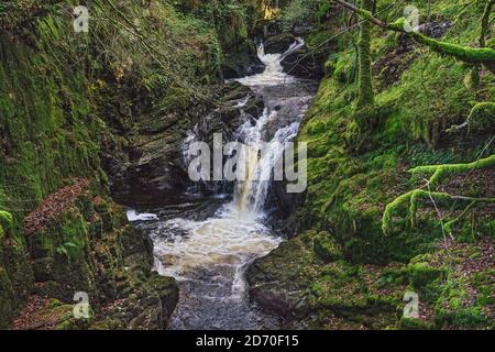 Waterfalls on River (Afon) Cynfal near Llan Ffestiniog Snowdonia National Park North Wales UK October 2019 3209 Stock Photo