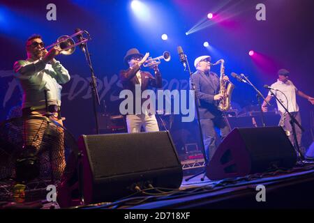 Fat Freddy's Drop performing at the Womad festival, in Charlton Park, Wiltshire. Stock Photo