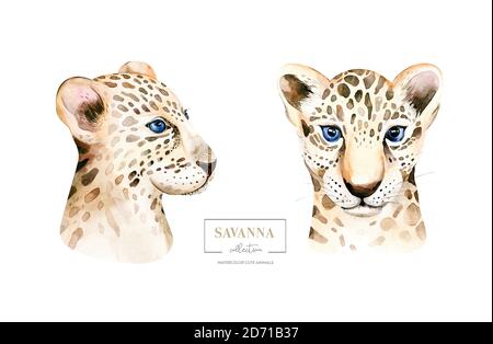 Africa watercolor savanna leopard, animal illustration. African Safari wild cat cute exotic animals face portrait character. Isolated on whote poster Stock Photo