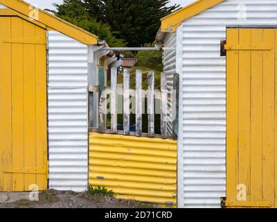 Colonists cottages, the old town of Stanley, capital of the Falkland Islands.  South America, Falkland Islands, November Stock Photo