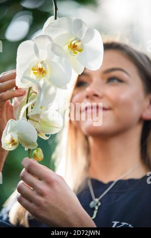 Gardener Jenny Forgie puts the finishing touches to a display of orchids, at the launch of Kew' Thai-inspired Orchids Festival, at Kew Gardens in west London. Picture date: Thursday 8 February 2018. Photo credit should read: Matt Crossick/ EMPICS Entertainment. Stock Photo