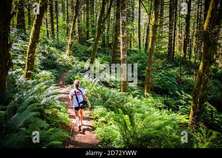 Walking in Tillamook State Forest, Pacific Northwest, Oregon, USA Stock Photo