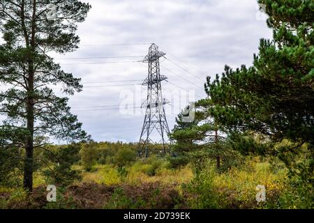 Autumnal woodland landscape: Electricity pylons in the natural landscape. The New Forest, Hampshire UK. Stock Photo