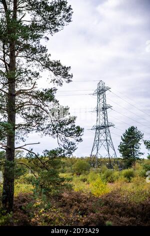 Autumnal woodland landscape: Electricity pylons in the natural landscape. The New Forest, Hampshire UK. Stock Photo