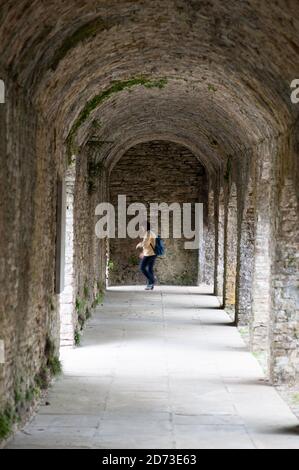 Aberglasney Gardens, Carnarthenshire, Wales. Stock Photo