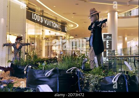 Louis Vuitton handbag store window shop front display in the Westfield  centre indoor shopping malls Stock Photo - Alamy