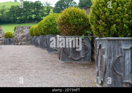 Aberglasney Gardens, Carnarthenshire, Wales. Stock Photo