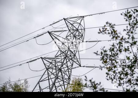 Autumnal woodland landscape: Electricity pylons in the natural landscape. The New Forest, Hampshire UK. Stock Photo