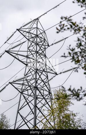 Autumnal woodland landscape: Electricity pylons in the natural landscape. The New Forest, Hampshire UK. Stock Photo