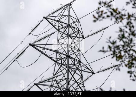 Autumnal woodland landscape: Electricity pylons in the natural landscape. The New Forest, Hampshire UK. Stock Photo