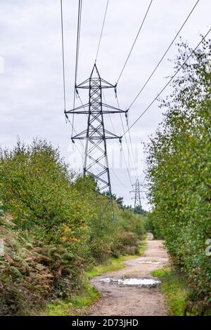 Autumnal woodland landscape: Electricity pylons in the natural landscape. The New Forest, Hampshire UK. Stock Photo