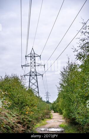 Autumnal woodland landscape: Electricity pylons in the natural landscape. The New Forest, Hampshire UK. Stock Photo